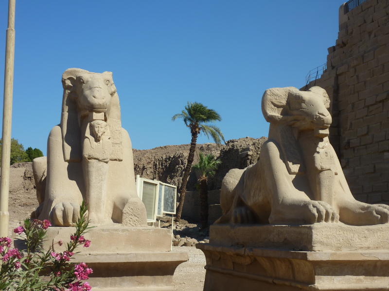 Luxor 5 Jan 2011
